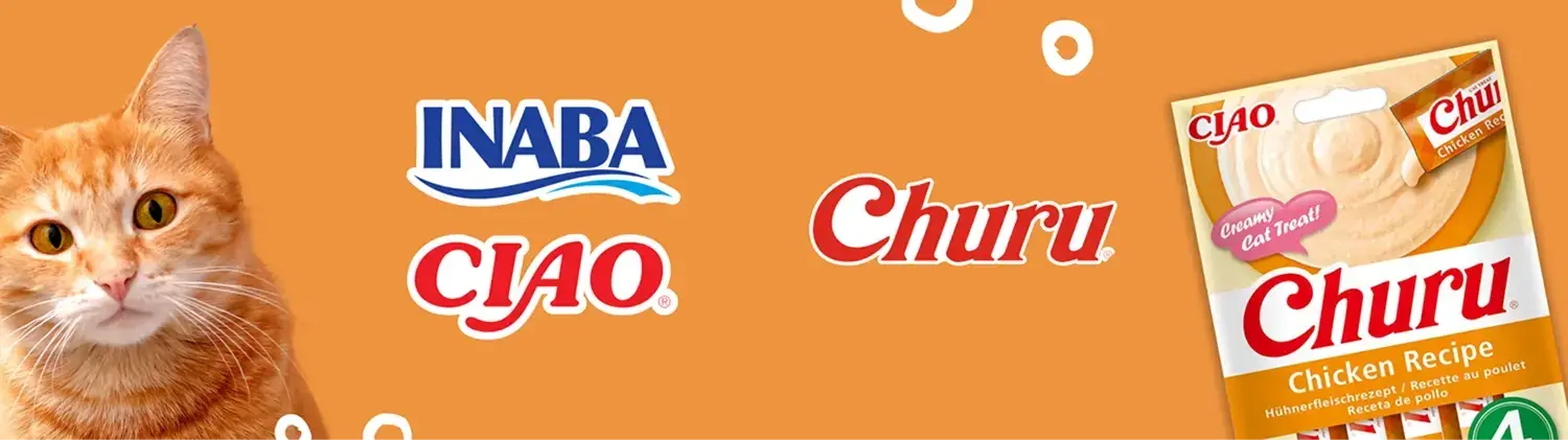 Inaba-infografika-I 3