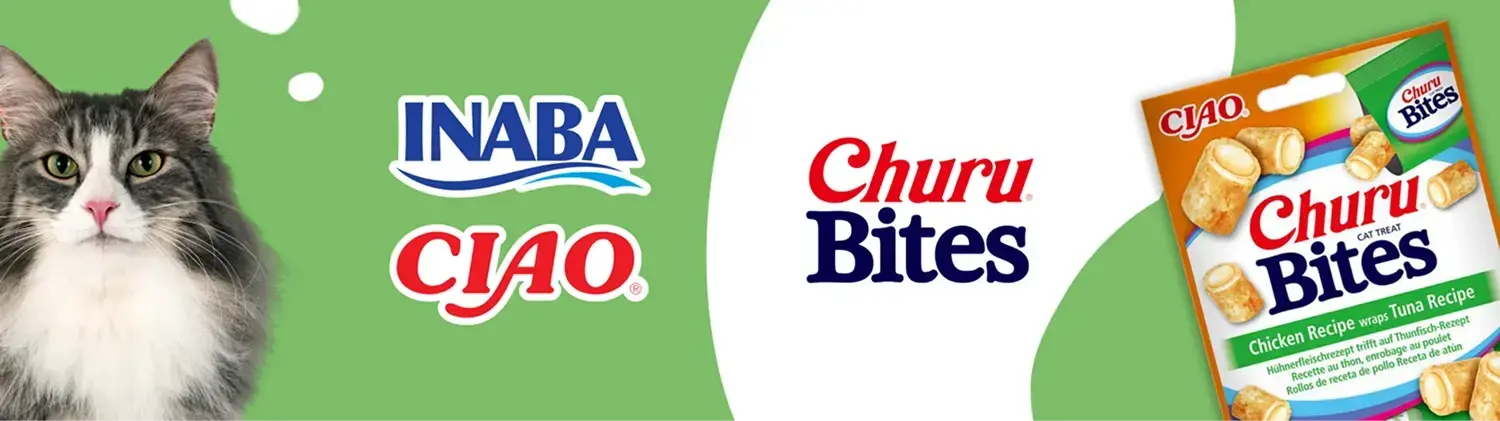 Inaba-infografika-I 2