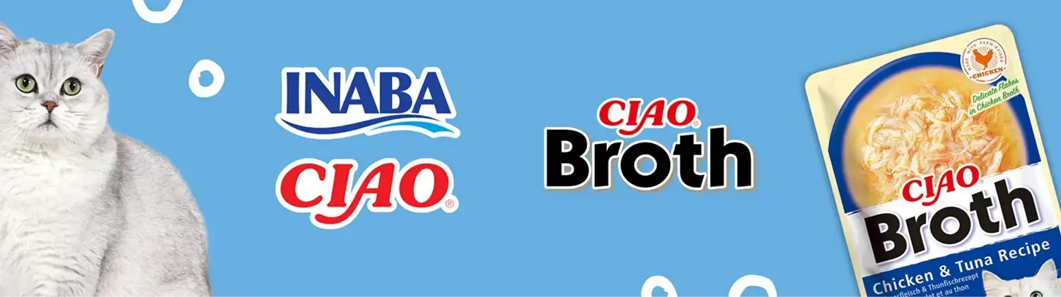 Inaba-infografika-I 1