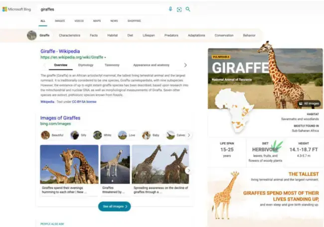 Aktualizacje wizualne