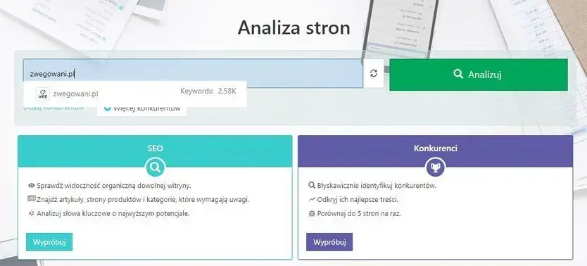 analiza stron semstorm