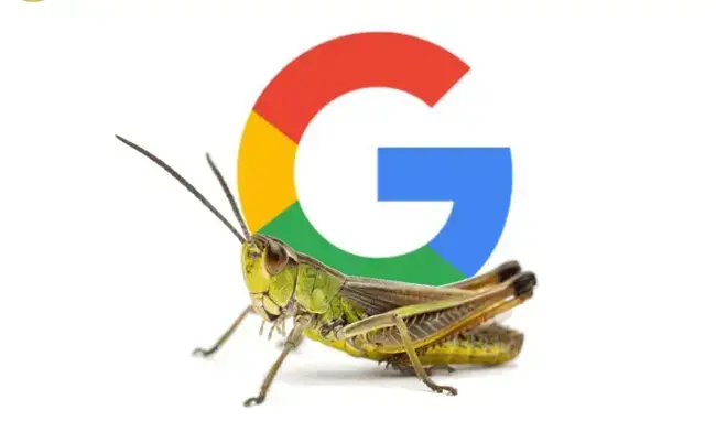 Błąd Google