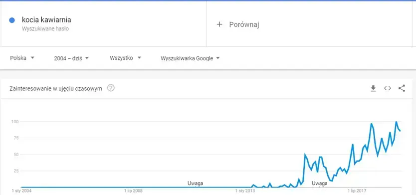 kocia kawiarnia w google trends