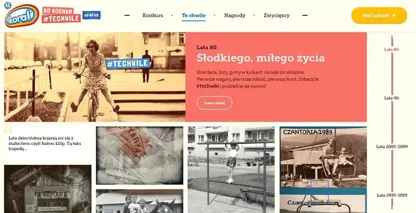 wybór idealnej domeny