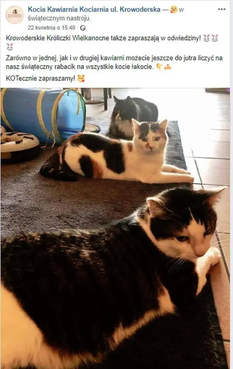 google trends - jak działa