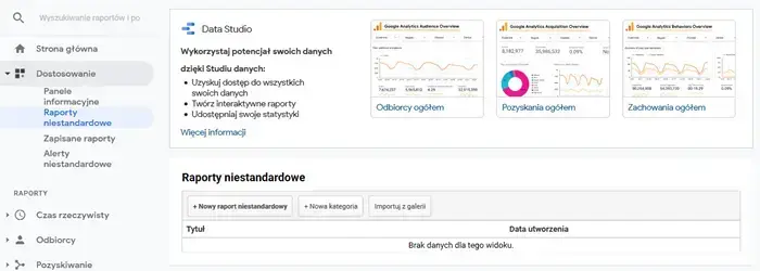 Raport niestandardowy