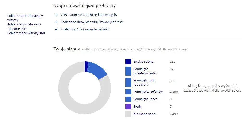 Raport problemów