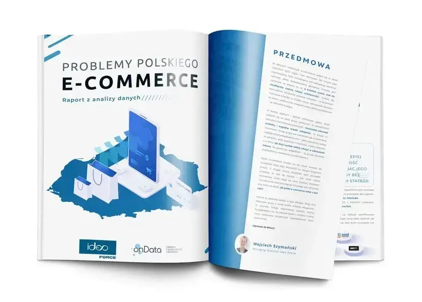 raport e-commerce