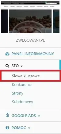 seo slowa kluczowe