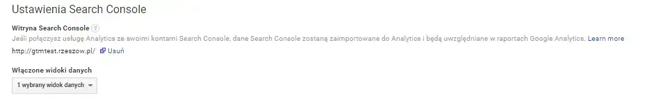 Search Console Ustawienia