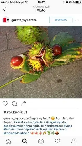 instagram hashtagi - przykład