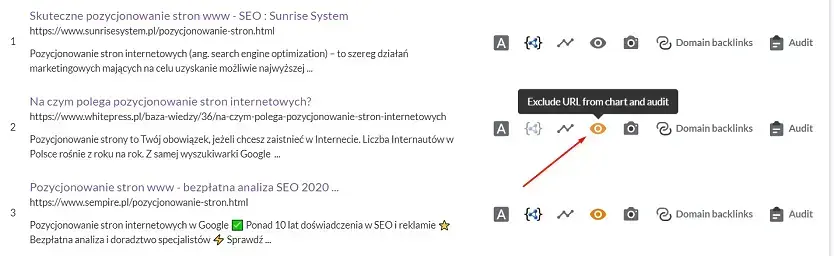 wykluczenia surfer seo